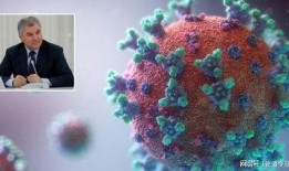 新冠源头爆料最新,最新爆料揭示病毒起源之谜